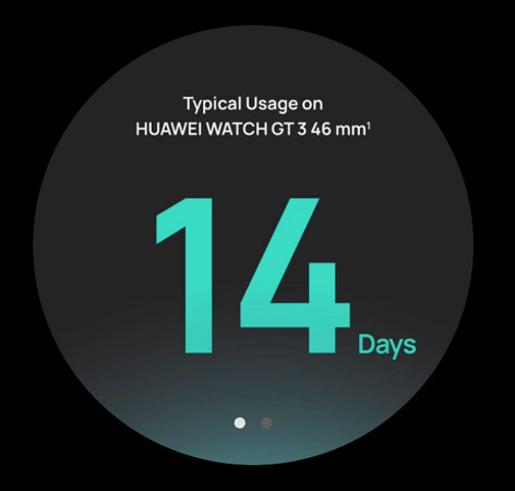 Chytré hodinky Huawei Watch GT 3 46 mm (Elite) - Stainless Steel + Stainless Steel Strap