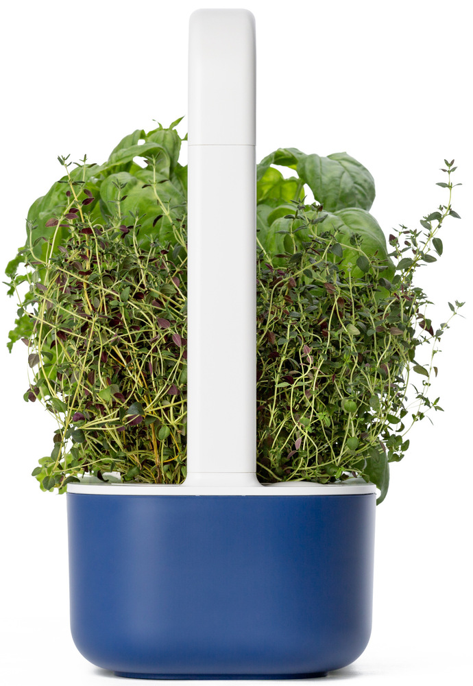 Chytrý květináč Click and Grow Smart Garden 9.