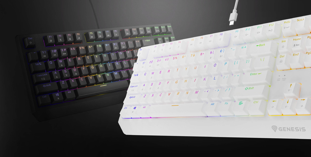 Klávesnice Genesis THOR 230, TKL, RGB, Outemu Brown, US layout černá Genesis THOR 230 TKL RGB Outemu Brown US (NKG-2079)