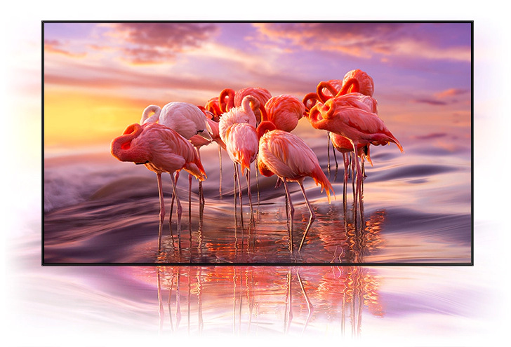Televize Samsung QE65Q95TD