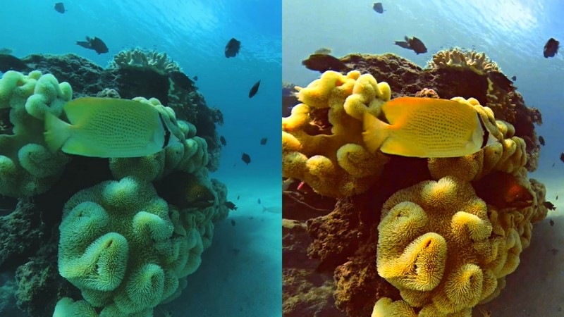 Outdoorová kamera Insta360 ONE X2 černá/šedá