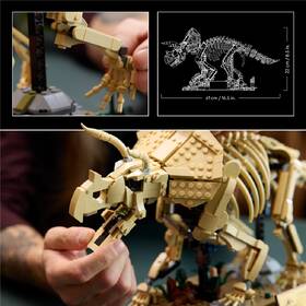 Stavebnice LEGO® Jurassic World  77985 Dinosauří fosilie: Triceratops 

 obrázek produktu 3 z 9