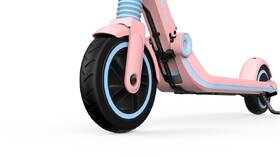 Elektrická koloběžka Ninebot by Segway eKickScooter ZING E8, růžová růžová

 obrázek produktu 11 z 22