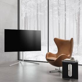 Televize LG OLED65C12 

 obrázek produktu 11 z 13