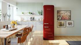 Chladnička s mrazničkou Gorenje ONRK619DR-L 

 obrázek produktu 15 z 17