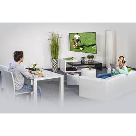Držák TV Hama 220824, nástěnný, polohovatelný, pro úhlopříčky 32" až 65", max. nosnost 25 kg černý

 obrázek produktu 2 z 5