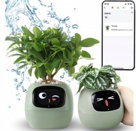 Chytrý květináč Plantsio IVY zelený

 obrázek produktu 2 z 5