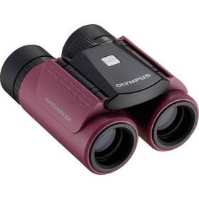 Dalekohled Olympus 8x21 RC II WP fialový

 obrázek produktu 1 z 1