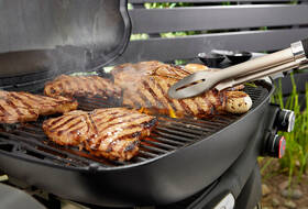 Gril zahradní plynový Weber Q 3200N+ černý

 obrázek produktu 8 z 12
