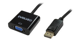 Redukce Evolveo DisplayPort/VGA černá

 obrázek produktu 1 z 2