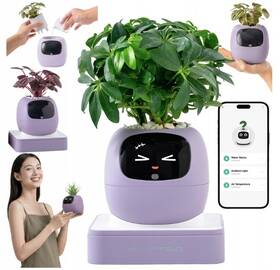 Chytrý květináč Plantsio IVY generace 2 fialový

 obrázek produktu 2 z 4