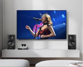 Reproduktory Swan D3.1MKII (2 ks) hnědé

 obrázek produktu 8 z 8