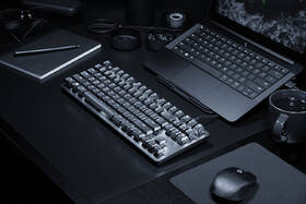 Klávesnice Razer BlackWidow Lite (Orange Switch), US černá

 obrázek produktu 4 z 6