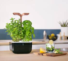 Chytrý květináč Véritable Exky SMART černý/měděný

 obrázek produktu 5 z 7