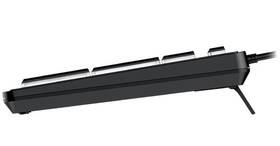 Klávesnice Genius Slimstar 820, Copilot, CZ/SK layout černá

 obrázek produktu 3 z 3