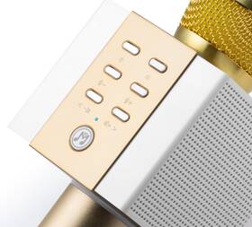 Přenosný reproduktor Technaxx ELEGANCE, karaoke mikrofon zlatý

 obrázek produktu 2 z 8