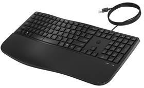 Klávesnice HP HP 480 Comfort CZ/SK černá

 obrázek produktu 2 z 5