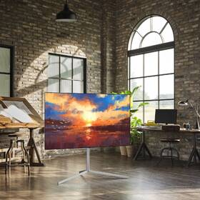 Televize LG OLED55A1 

 obrázek produktu 8 z 10