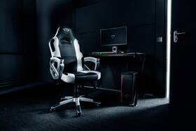 Herní židle Trust GXT 705W Ryon černá/bílá

 obrázek produktu 6 z 6