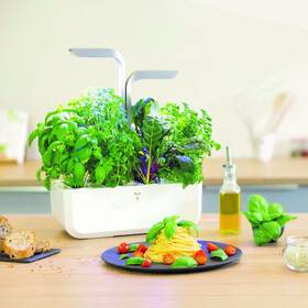 Chytrý květináč Véritable SMART bílý

 obrázek produktu 10 z 16