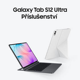 Dotykový tablet Samsung Galaxy Tab S12 Ultra 12 GB / 512 GB + dotykové pero šedý

 obrázek produktu 15 z 24