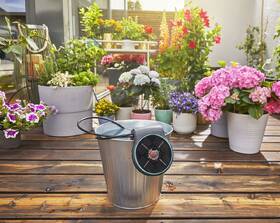 Zavlažovací systém Gardena AquaBloom 

 obrázek produktu 5 z 17