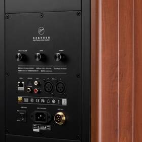 Reproduktory Swan M300MKII (2 ks) hnědé

 obrázek produktu 7 z 16