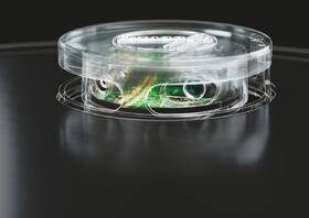 Robotický vysavač Hoover HYDRO HG530H 011 
