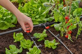 Ventil regulační Gardena MicroDrip System 4,6 mm (2 ks) 

 obrázek produktu 4 z 5