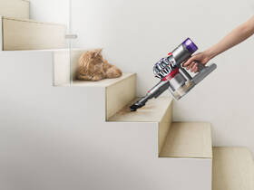  Dyson V8 Absolute 2022 
