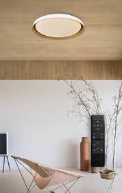 Stropní svítidlo Top Light Satellite 40B RC, 36W, 3600lm, 43cm, s dálkovým ovládačem, stmívání, teplá/neutrální/studená bílá bílé/hnědé

 obrázek produktu 3 z 3