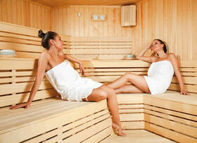 Infrasauna HealthLand DeLUXE 4005 CARBON 

 obrázek produktu 13 z 17