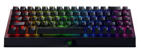 Klávesnice Razer BlackWidow V3 Mini HyperSpeed Green Switches černá

 obrázek produktu 1 z 11