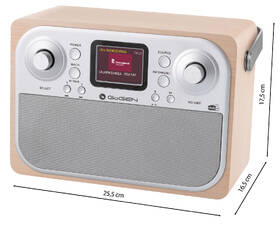 Radiopřijímač s DAB+ GoGEN DAB 700 BTCS stříbrný/hnědý

 obrázek produktu 5 z 9