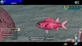 Hra Nintendo Switch Endless Ocean Luminous 

 obrázek produktu 6 z 9