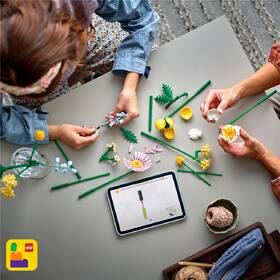 Stavebnice LEGO® Botanicals 10347 Drobná slunečná kytice 

 obrázek produktu 7 z 9