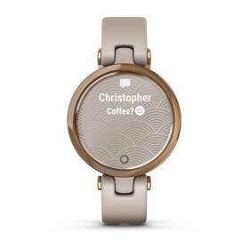 Chytré hodinky Garmin Sport Rose Gold / Light Sand Silicone Band 

 obrázek produktu 1 z 7