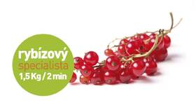 Odšťavňovač Concept LO7065 

 obrázek produktu 19 z 19