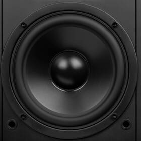 Reproduktory Swan M300MKII (2 ks) hnědé

 obrázek produktu 12 z 16