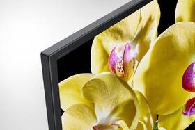 Televize Sony KD-43XG8096 

 obrázek produktu 5 z 6