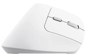Myš Trust Bayo II Ergonomic Wireless bílá

 obrázek produktu 1 z 13