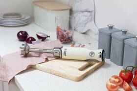 Ponorný mixér RUSSELL HOBBS 25232-56 Hand Blender Cream 

 obrázek produktu 15 z 15