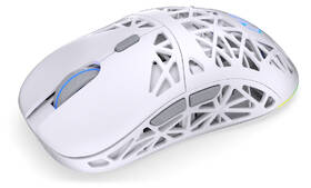 Myš ENDORFY LIV Wireless bílá

 obrázek produktu 4 z 18