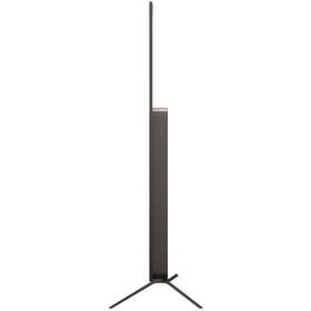 Televize LG OLED55B56LA 
