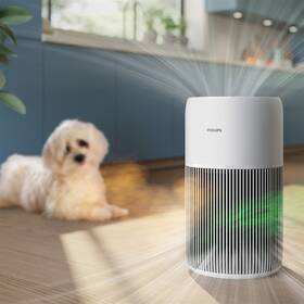 Čistička vzduchu Philips AC2220/10 bílá

 obrázek produktu 10 z 11