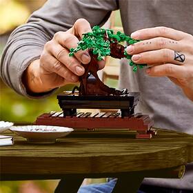 Stavebnice LEGO® Botanicals 10281 Bonsaj 

 obrázek produktu 8 z 8