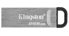 USB Flash Kingston DataTraveler Kyson 256GB stříbrná barva

