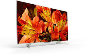 Televize Sony KD-55XF8577 

 obrázek produktu 2 z 8