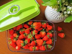 Vakuovací nádoba Status 158603, 2 l zelená

 obrázek produktu 4 z 5