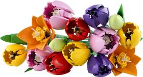 Stavebnice LEGO® Botanicals 11501 Kytice tulipánů 

 obrázek produktu 1 z 9